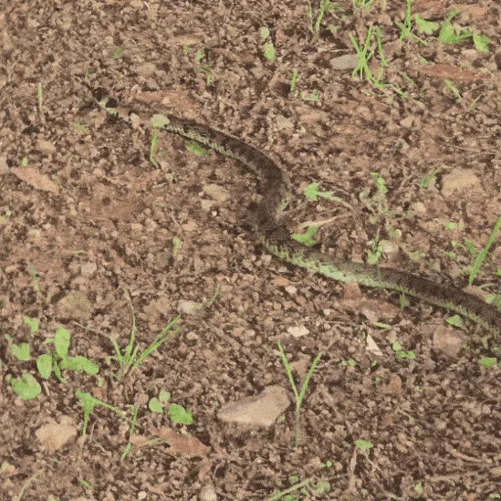 🐿 Bến đò Haengju, nơi bạn có thể cảm nhận sự thư thái ngay giữa lòng thành phố