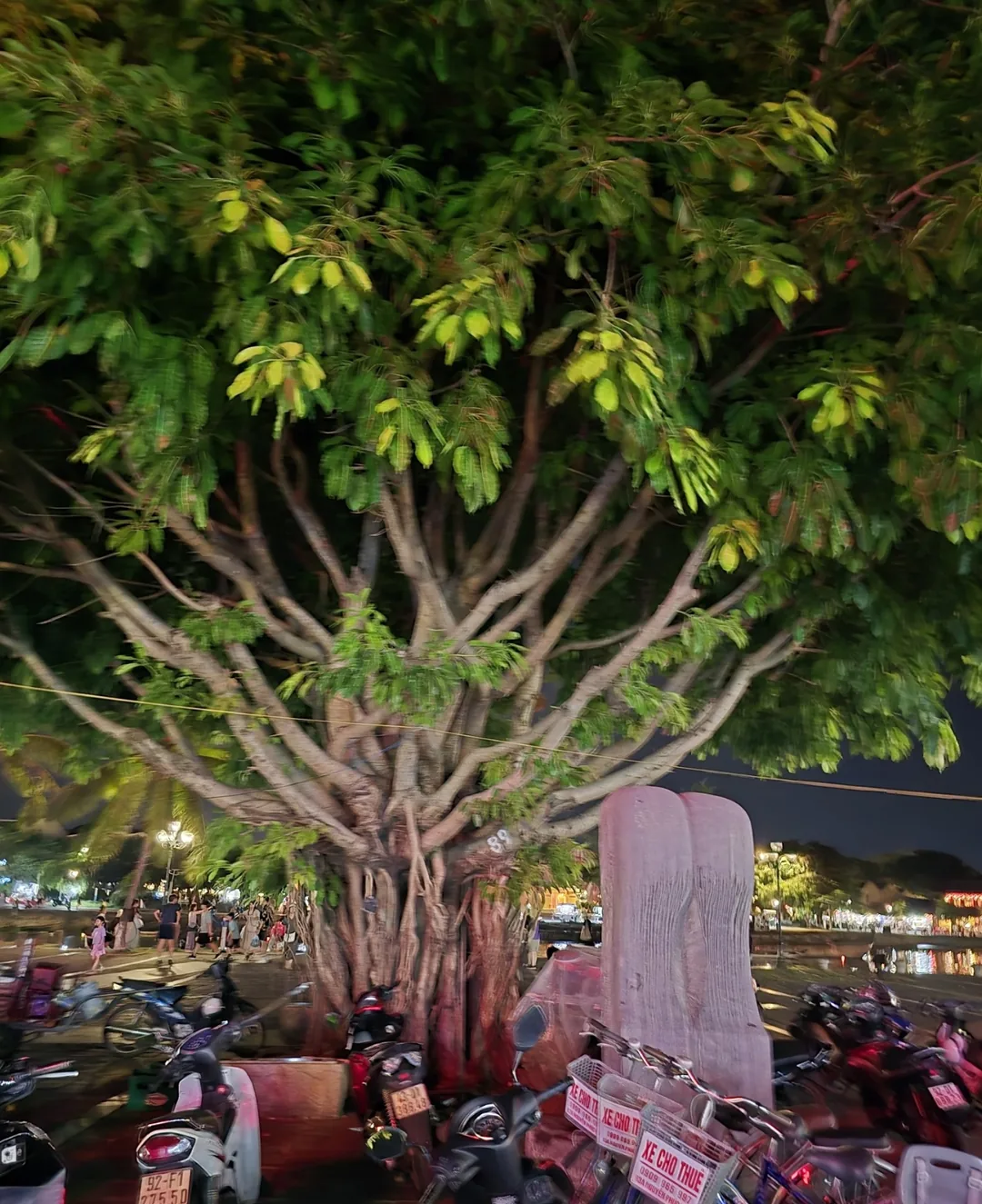 (🇻🇳chuyến thứ 6, 30/8~4/9) Nhật ký du lịch.. chợ đêm Hội An, Longshan tạm biệt! 👋👋👋