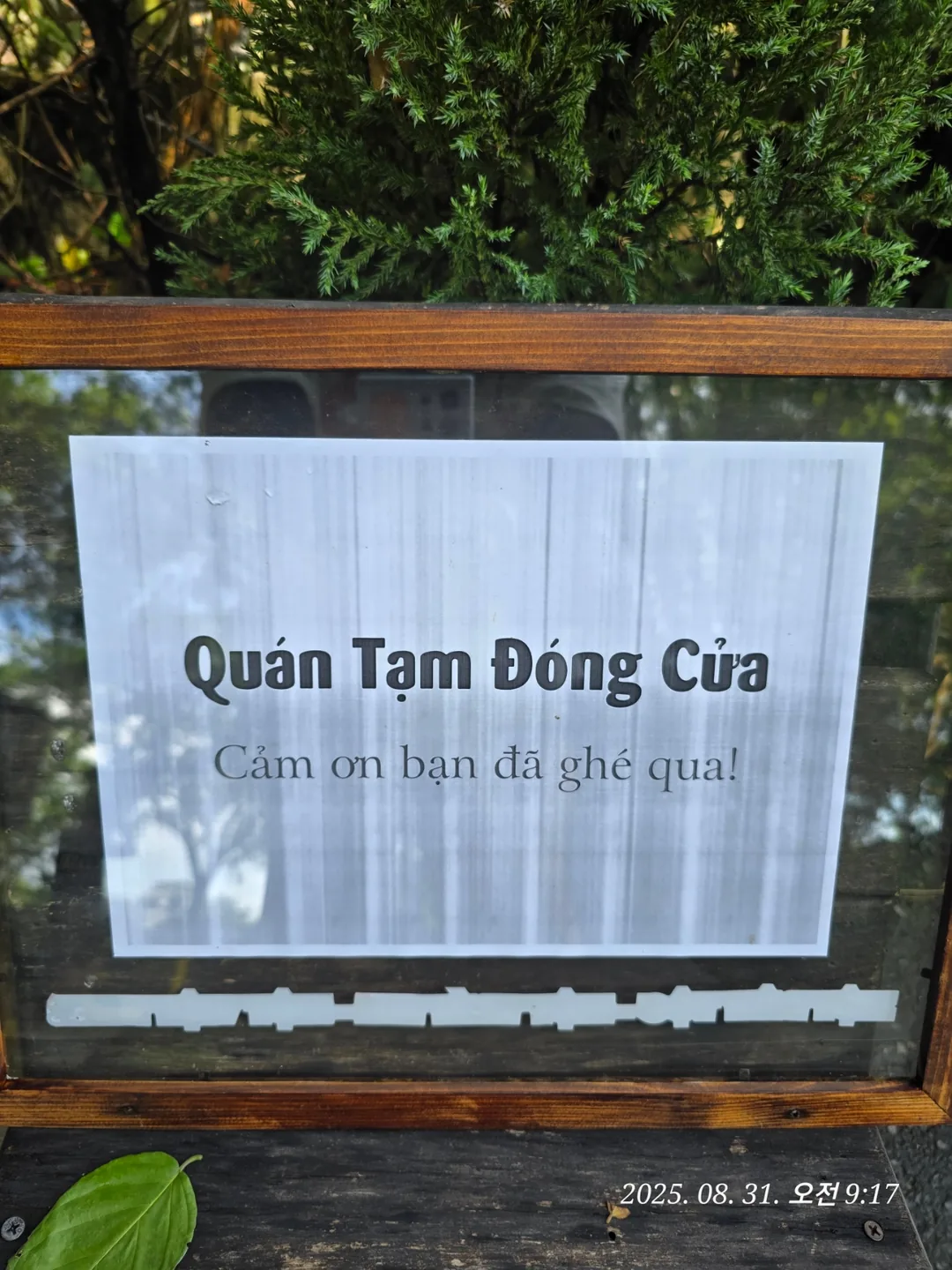 (🇻🇳phòng 6 30/8~4/9) nhật ký du lịch.. tour cà phê Hội An fefe (video)