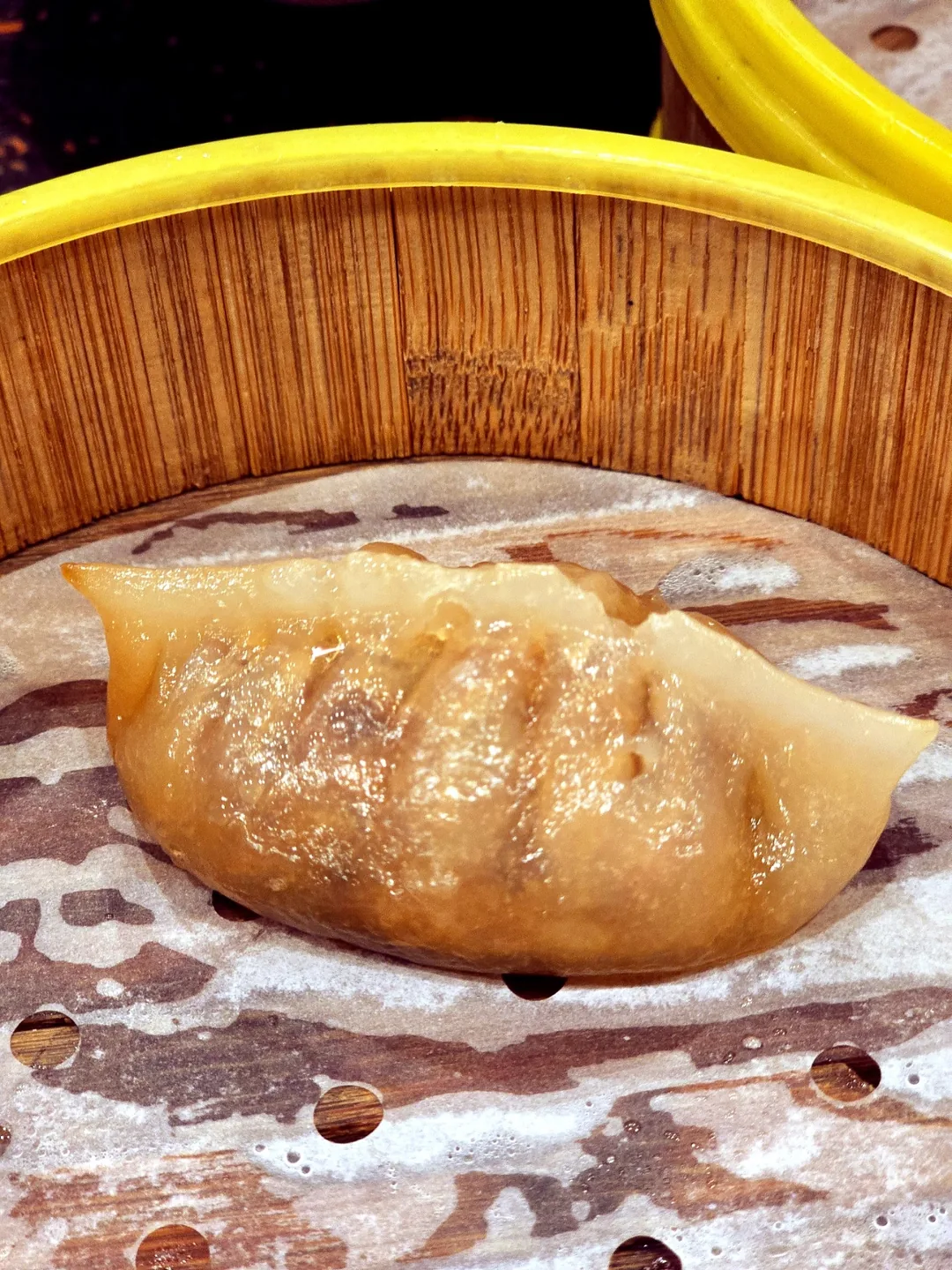 (🇻🇳phòng 6 người 30/8~4/9) Nhật ký du lịch.. Hội An dimsum!!!