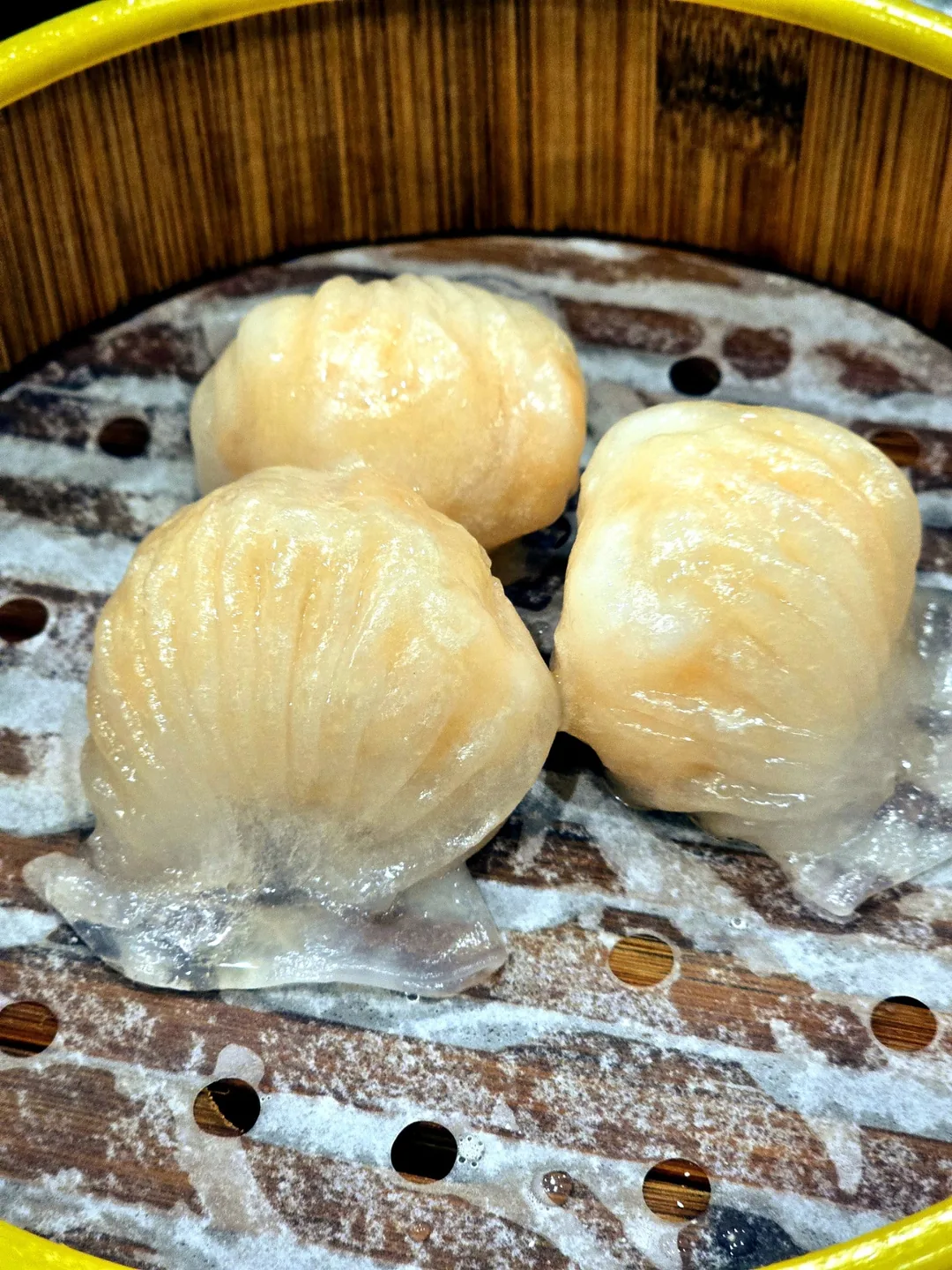 (🇻🇳phòng 6 người 30/8~4/9) Nhật ký du lịch.. Hội An dimsum!!!