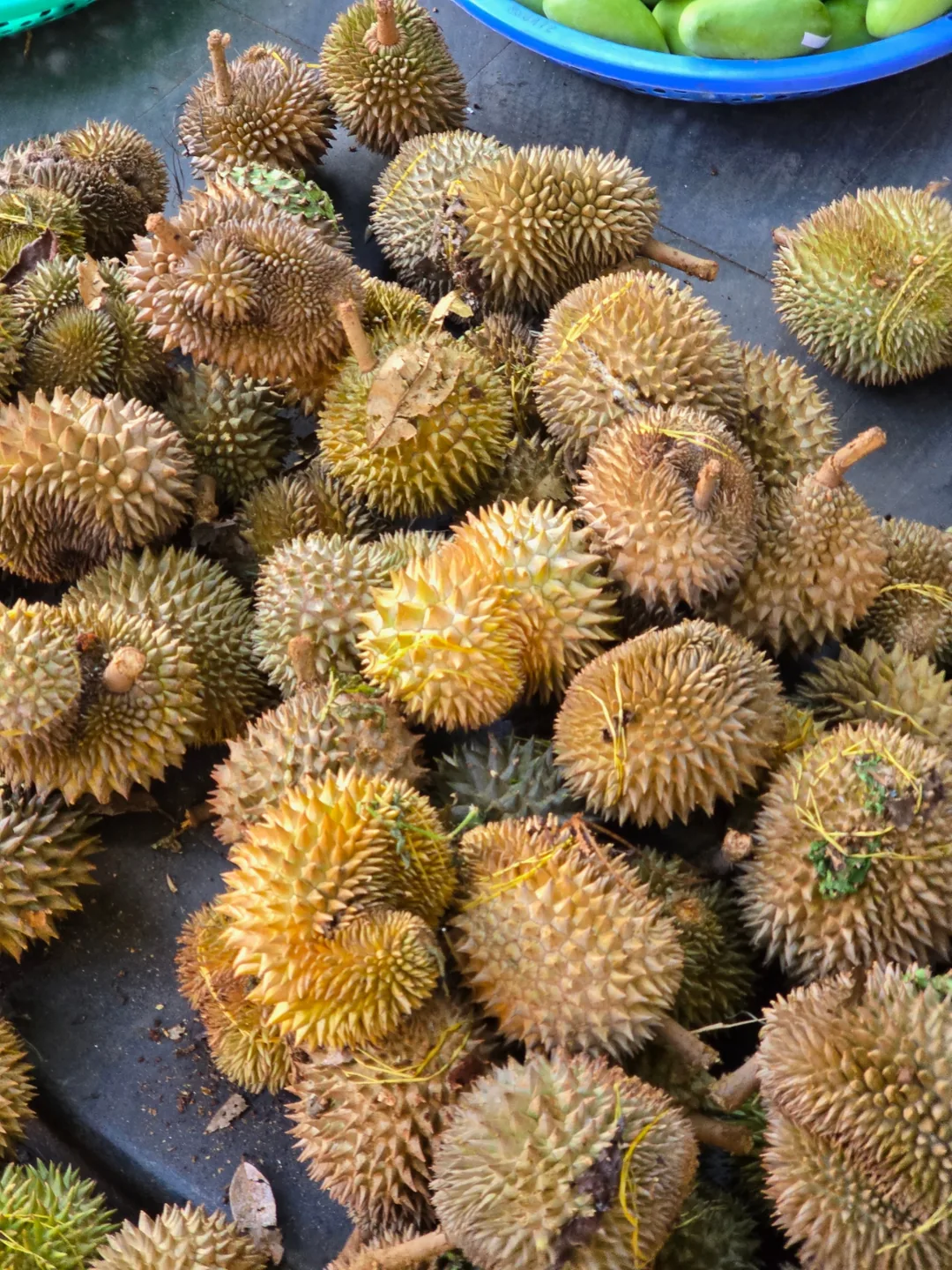 (🇻🇳phòng 6 30/8~4/9) Nhật ký du lịch.. Trái cây chợ sáng (chợ tờ mờ sáng)