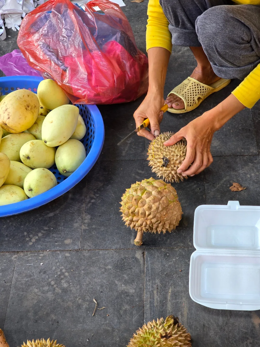 (🇻🇳phòng 6 30/8~4/9) Nhật ký du lịch.. Trái cây chợ sáng (chợ tờ mờ sáng)