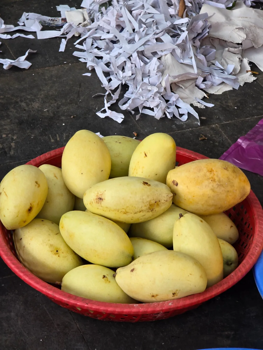 (🇻🇳phòng 6 30/8~4/9) Nhật ký du lịch.. Trái cây chợ sáng (chợ tờ mờ sáng)