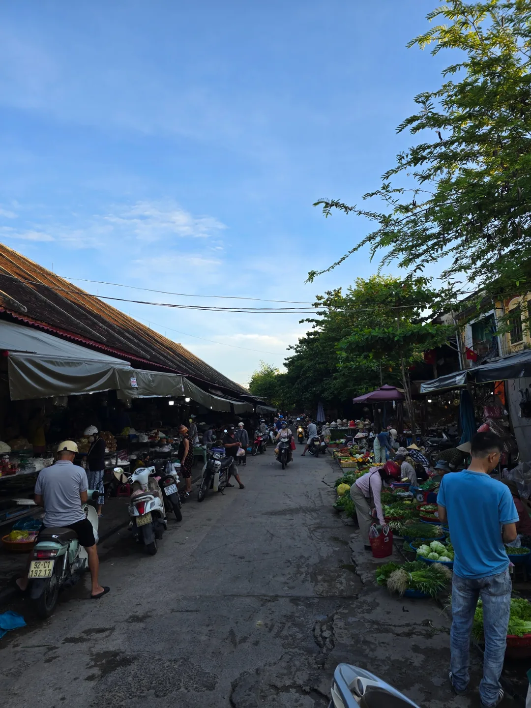 (🇻🇳phòng 6 30/8~4/9) Nhật ký du lịch.. Trái cây chợ sáng (chợ tờ mờ sáng)