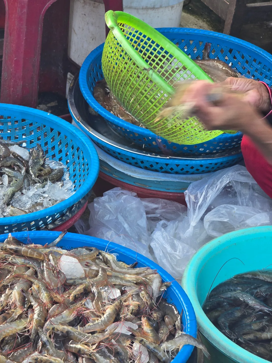 (🇻🇳 Phòng 6 30/8 - 4/9) Nhật ký du lịch.. Hải sản chợ sớm