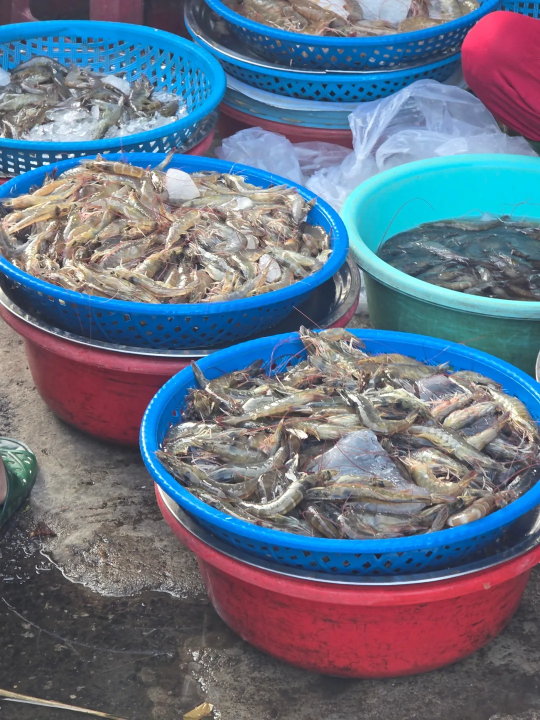 (🇻🇳 Phòng 6 30/8 - 4/9) Nhật ký du lịch.. Hải sản chợ sớm