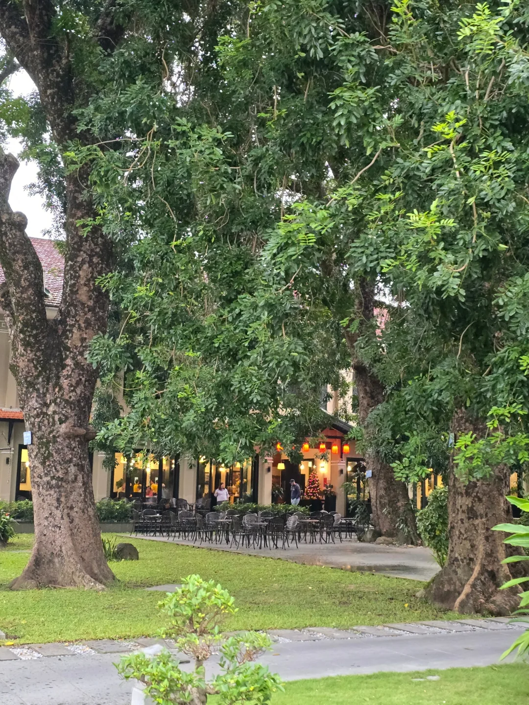 🇻🇳 Review 24.12 Chuyến du lịch 2 ngày cùng bố mẹ ngoài 80 tuổi