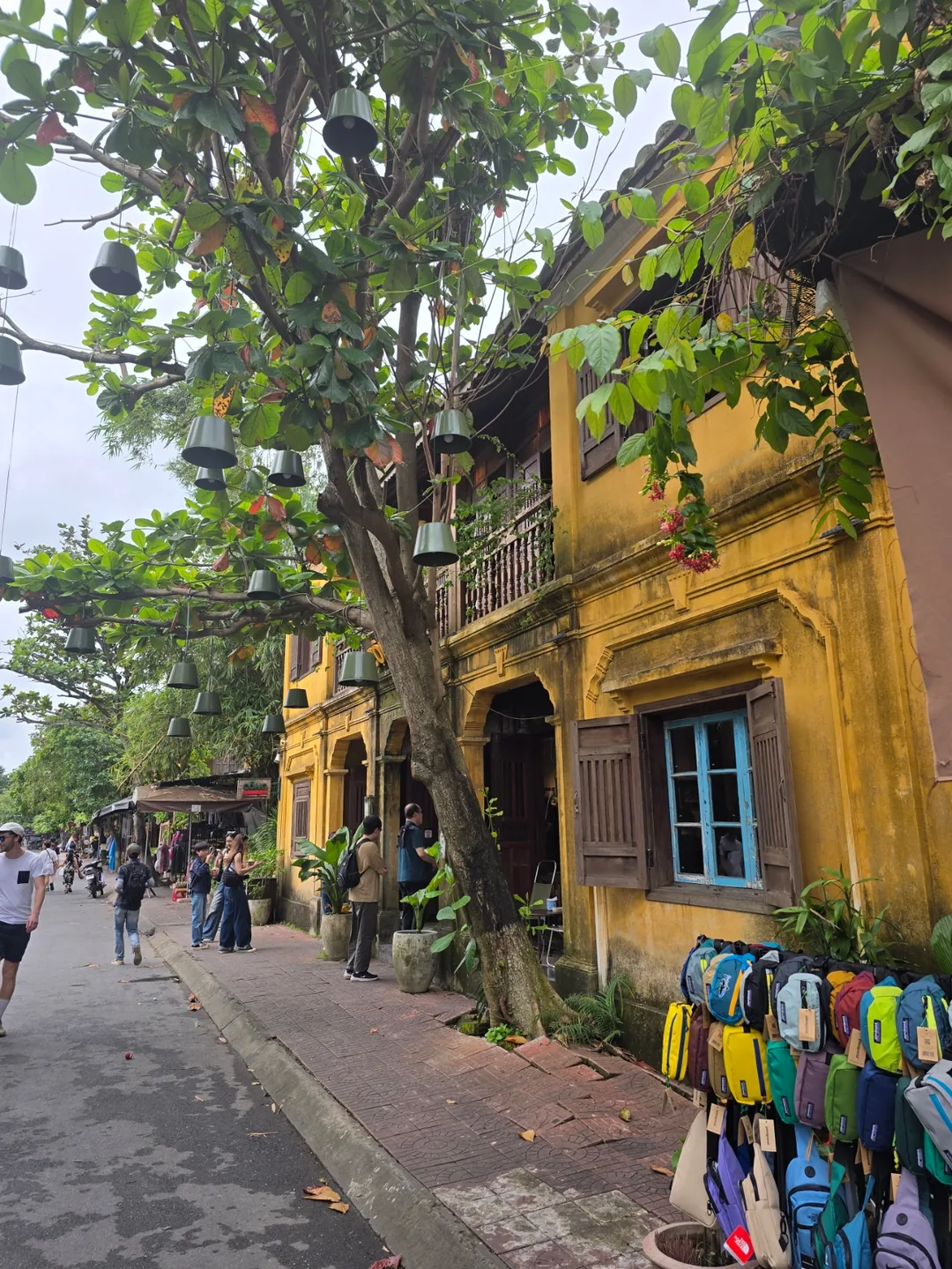 🇻🇳 Review 24.12 Chuyến du lịch 2 ngày cùng bố mẹ ngoài 80 tuổi