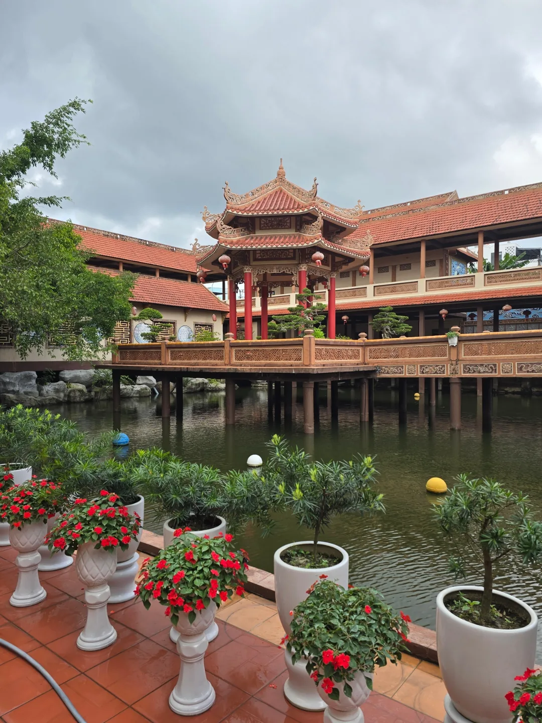 🇻🇳 Review 24.12 Ngày thứ 4 của chuyến du lịch cùng bố mẹ tuổi ngoài 80