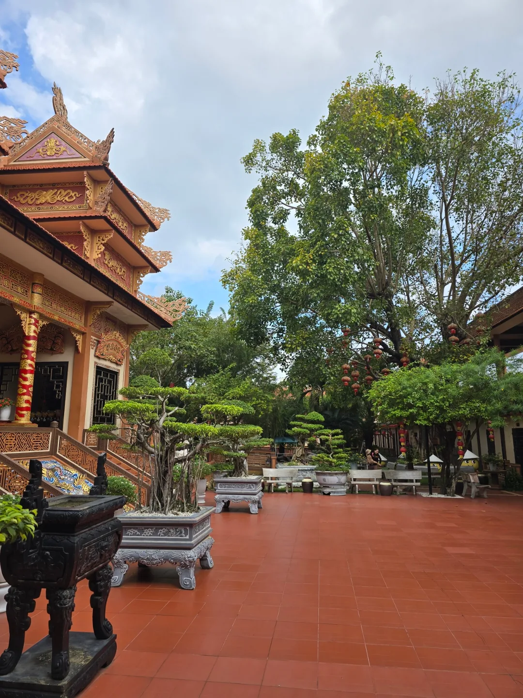 🇻🇳 Review 24.12 Ngày thứ 4 của chuyến du lịch cùng bố mẹ tuổi ngoài 80