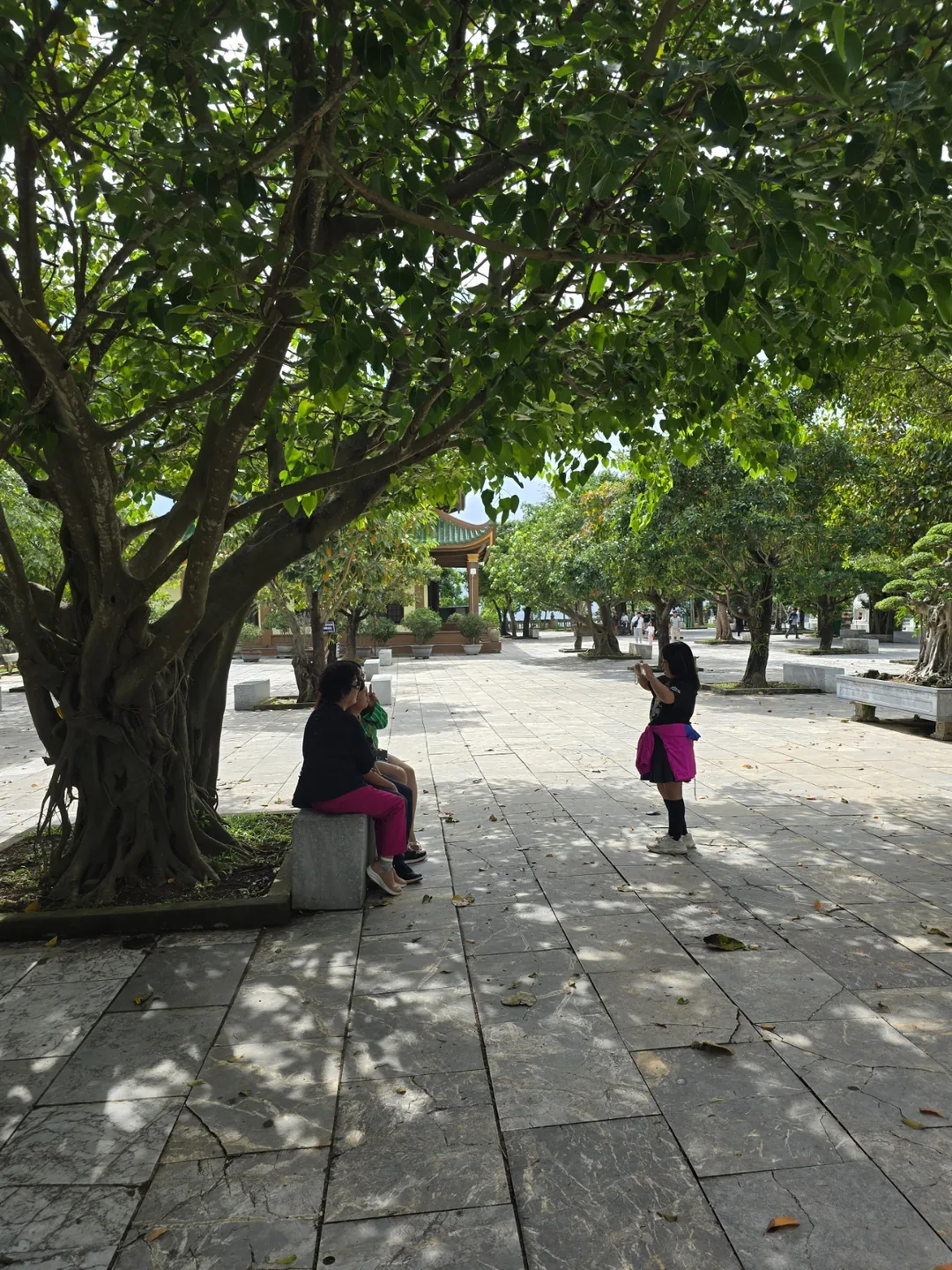 Chuyến đi Đà Nẵng cùng bố mẹ ngoài 80 tuổi — ngày cuối cùng, ngày thứ 5 🇻🇳