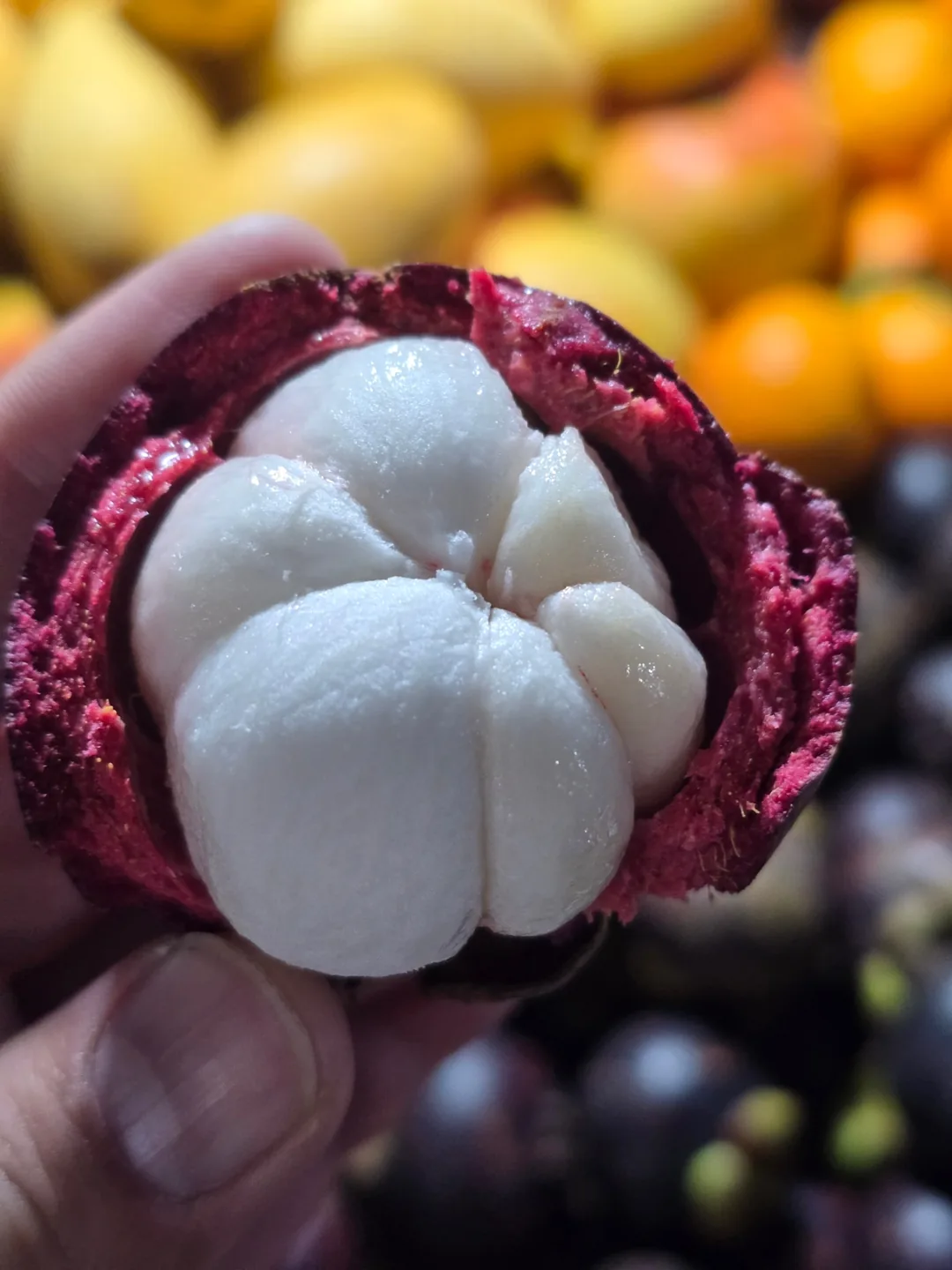 Cặp đôi hoàn hảo: Chuyến du lịch Đà Nẵng·Hội An 5 ngày — Ngày 1 🇻🇳