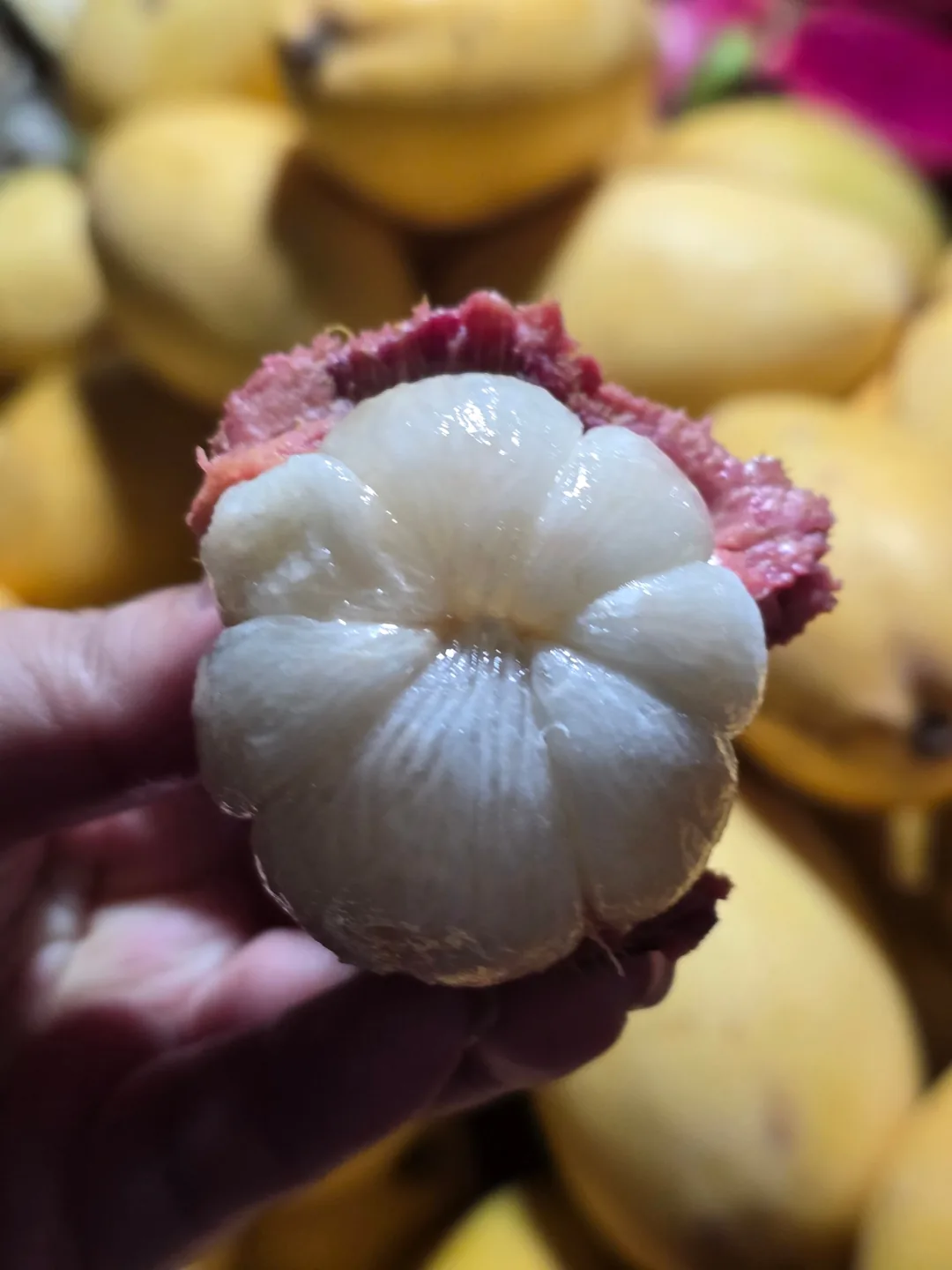 Cặp đôi hoàn hảo: Chuyến du lịch Đà Nẵng·Hội An 5 ngày — Ngày 1 🇻🇳