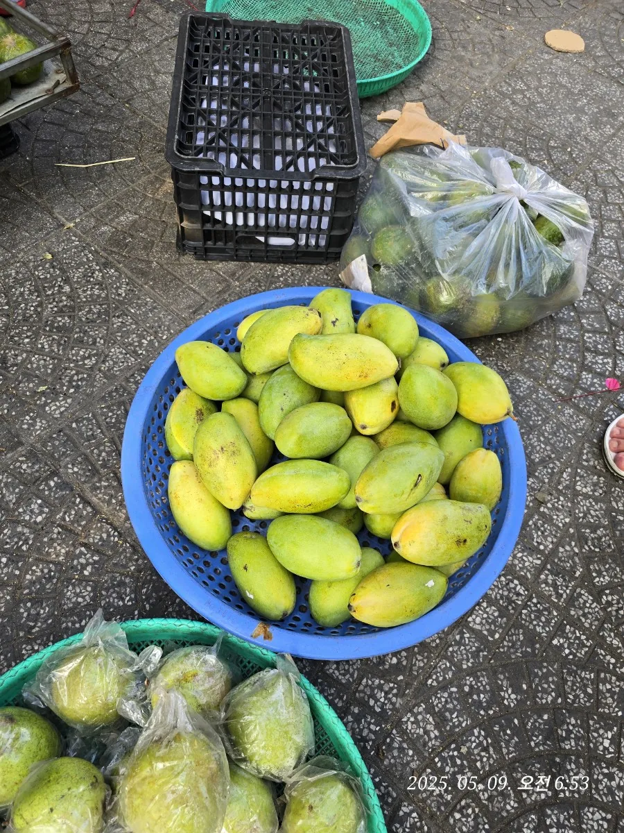 🇻🇳Bài review (Cặp đôi ăn ý - Lịch trình du lịch Đà Nẵng 5 ngày dành cho người trình độ trung cấp) Ngày 2