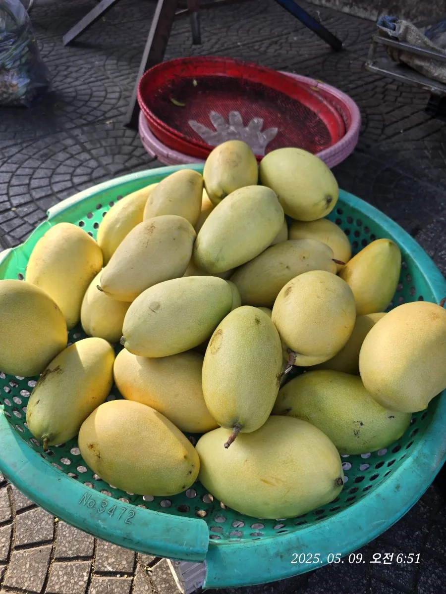 🇻🇳Bài review (Cặp đôi ăn ý - Lịch trình du lịch Đà Nẵng 5 ngày dành cho người trình độ trung cấp) Ngày 2