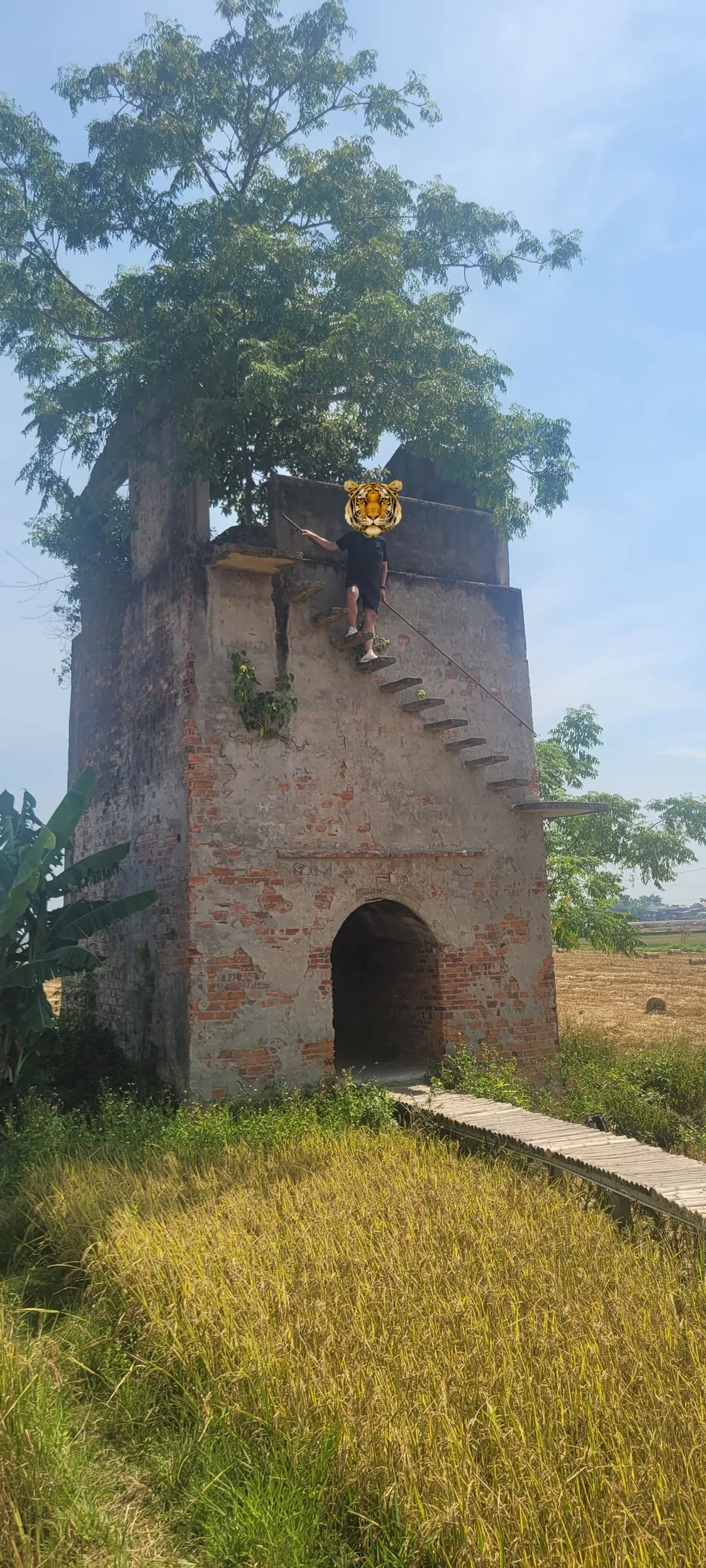 🇻🇳Bài review (Cặp đôi ăn ý - Lịch trình du lịch Đà Nẵng 5 ngày dành cho người trình độ trung cấp) Ngày 2