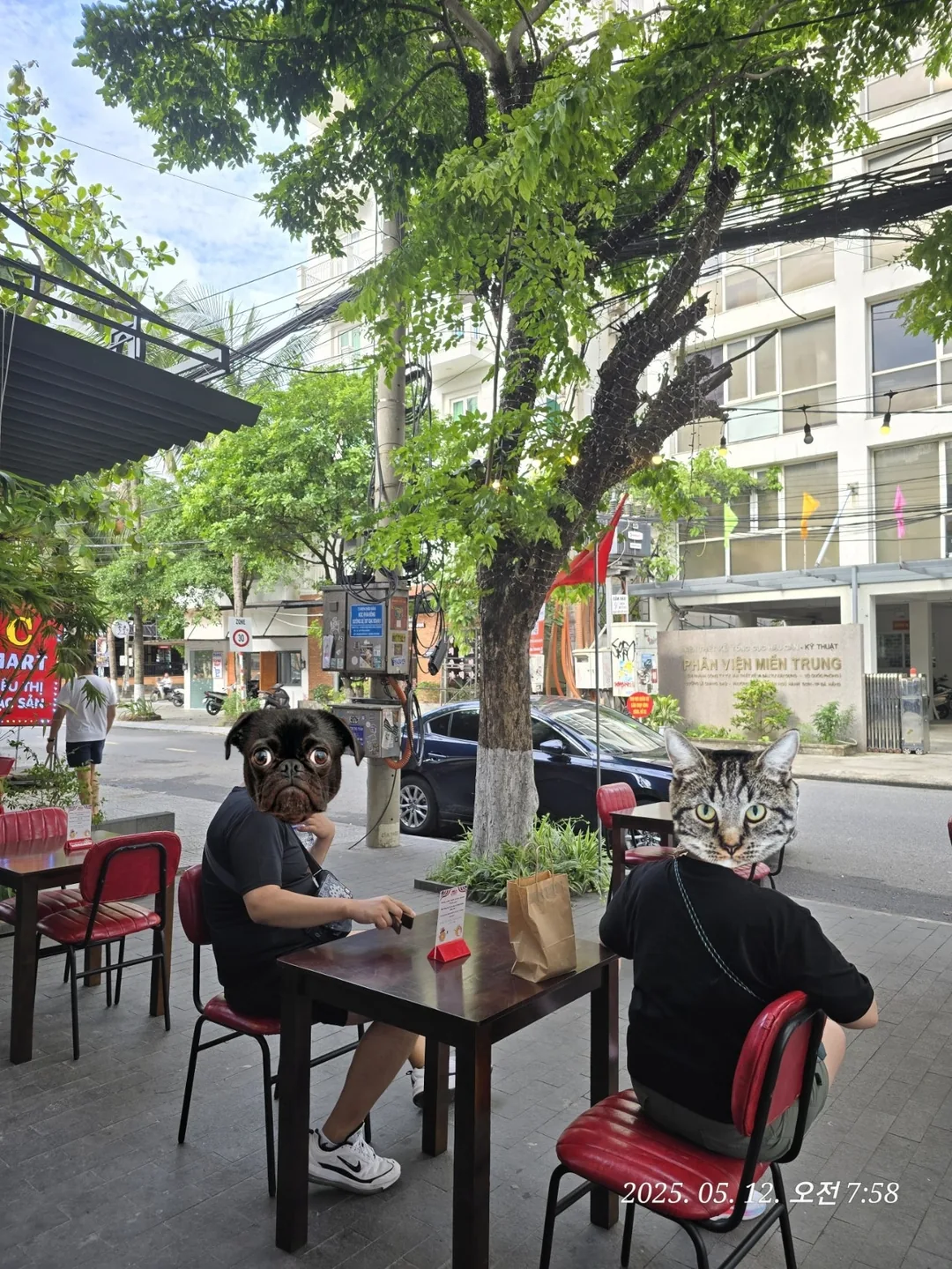 🇻🇳 (Lịch trình du lịch Đà Nẵng 5 ngày dành cho khách trung cấp hợp cạ) Ngày 5: Tour tham quan Hoàng cung Huế