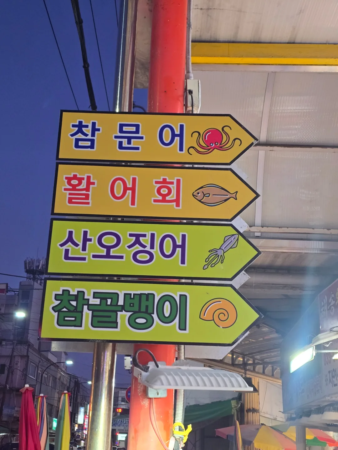 🐎 Sokcho..