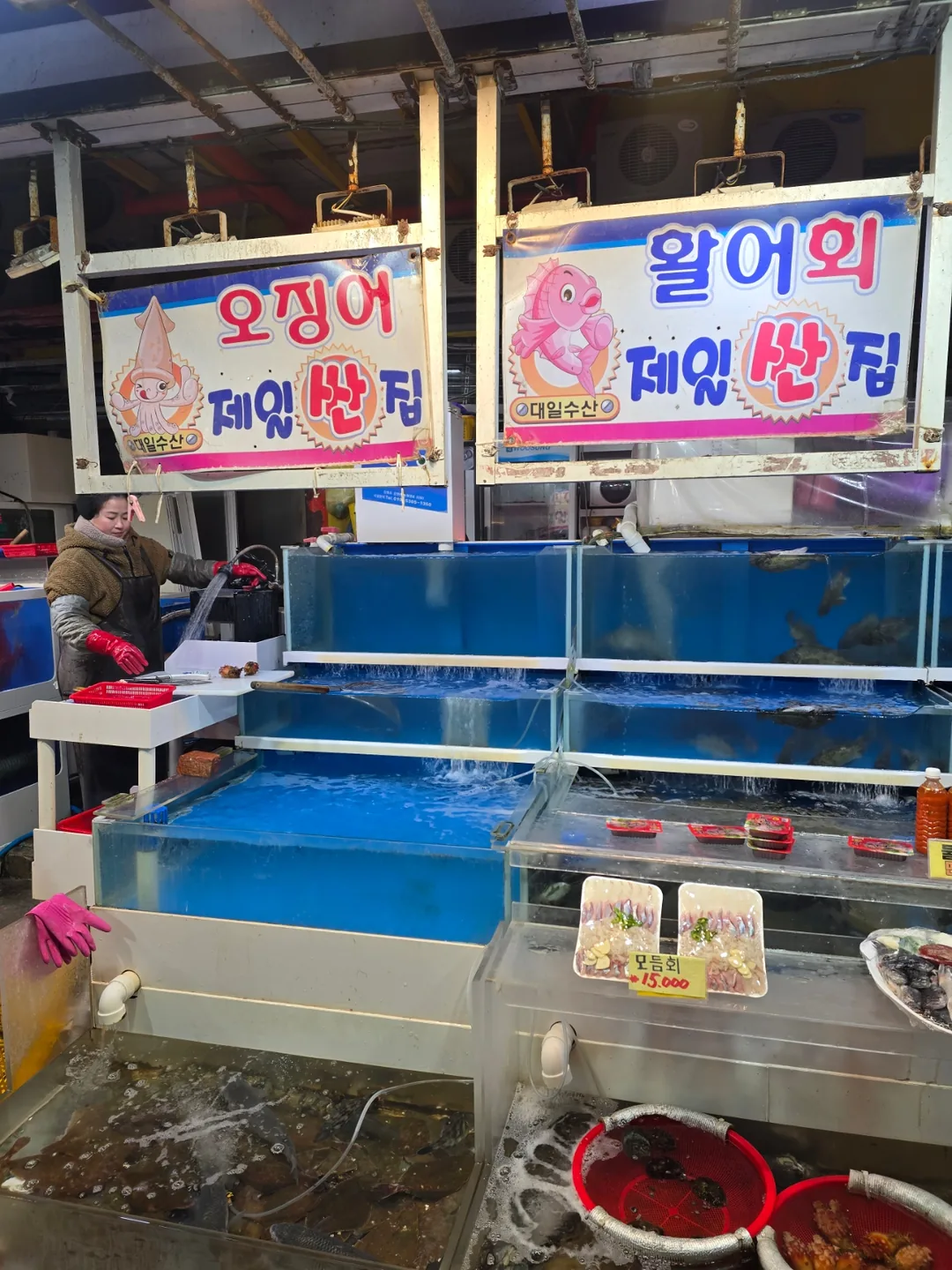 🐎 Sokcho..