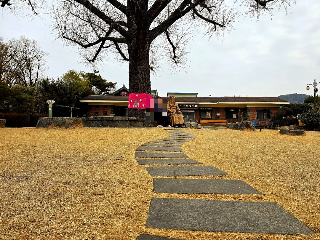 🧧 Làng Hanok Jeonju (Nhà thờ Jeondong)