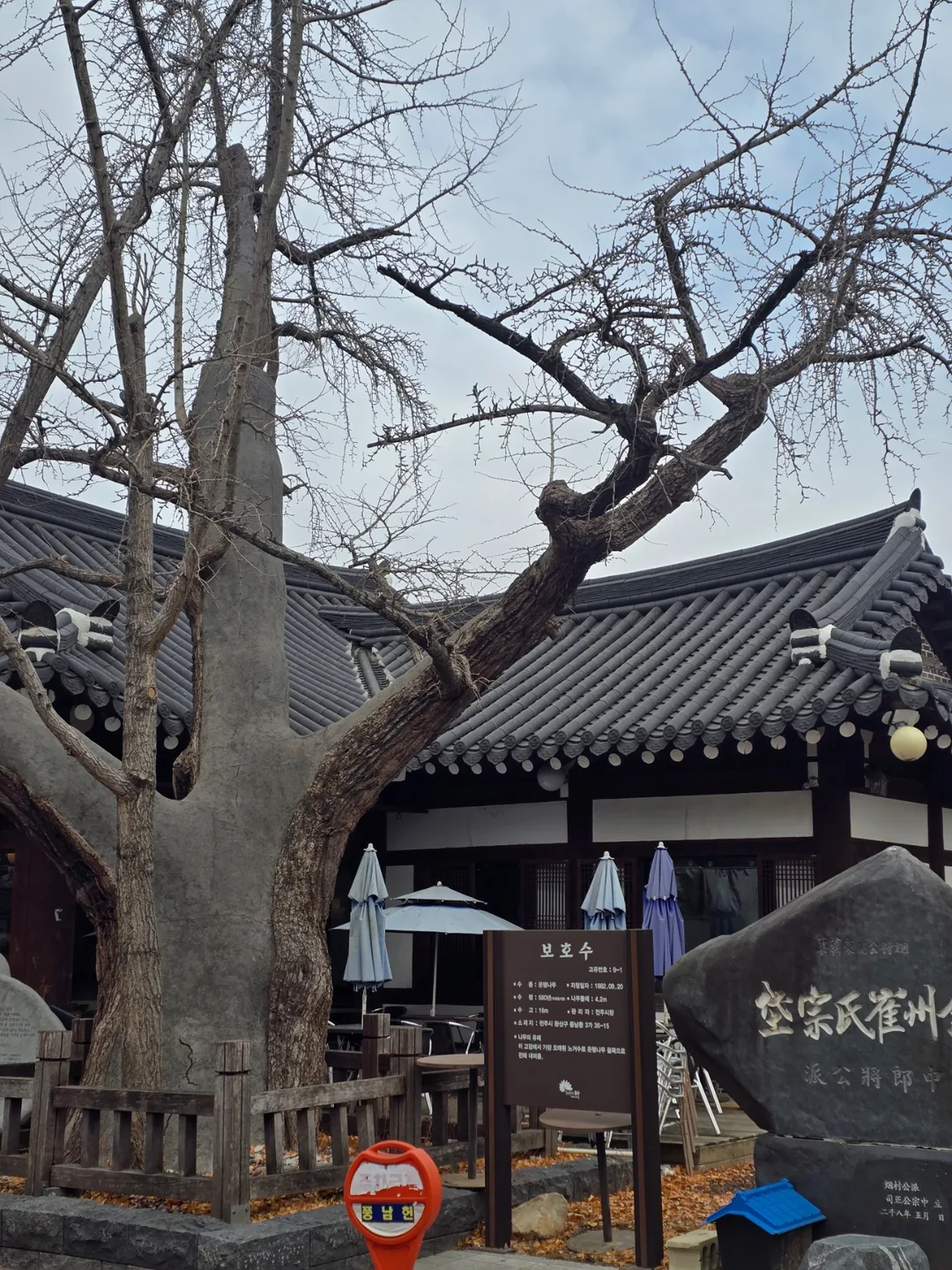 🧧 Làng Hanok Jeonju (Nhà thờ Jeondong)