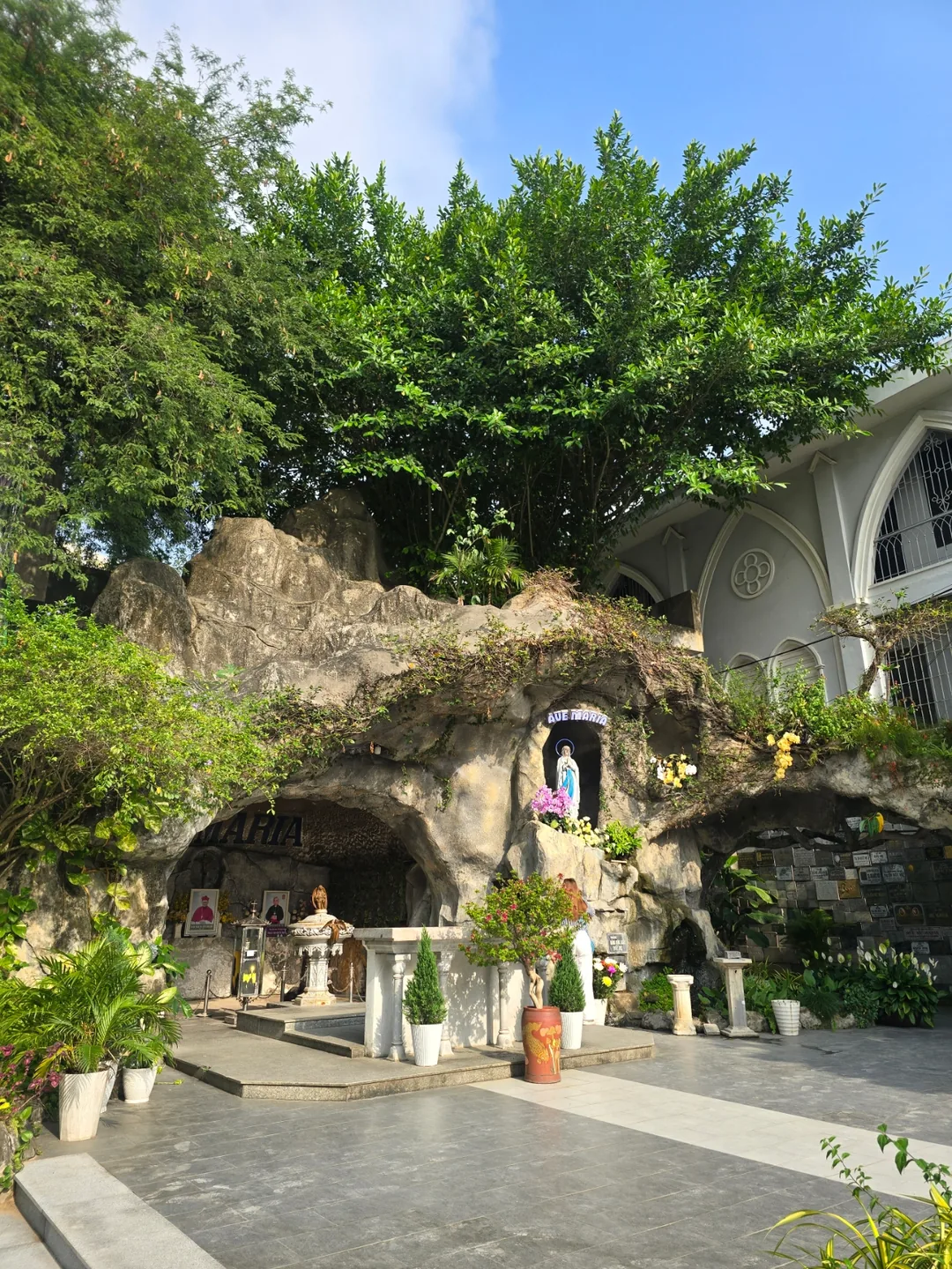 Nhà thờ hồng buổi sáng