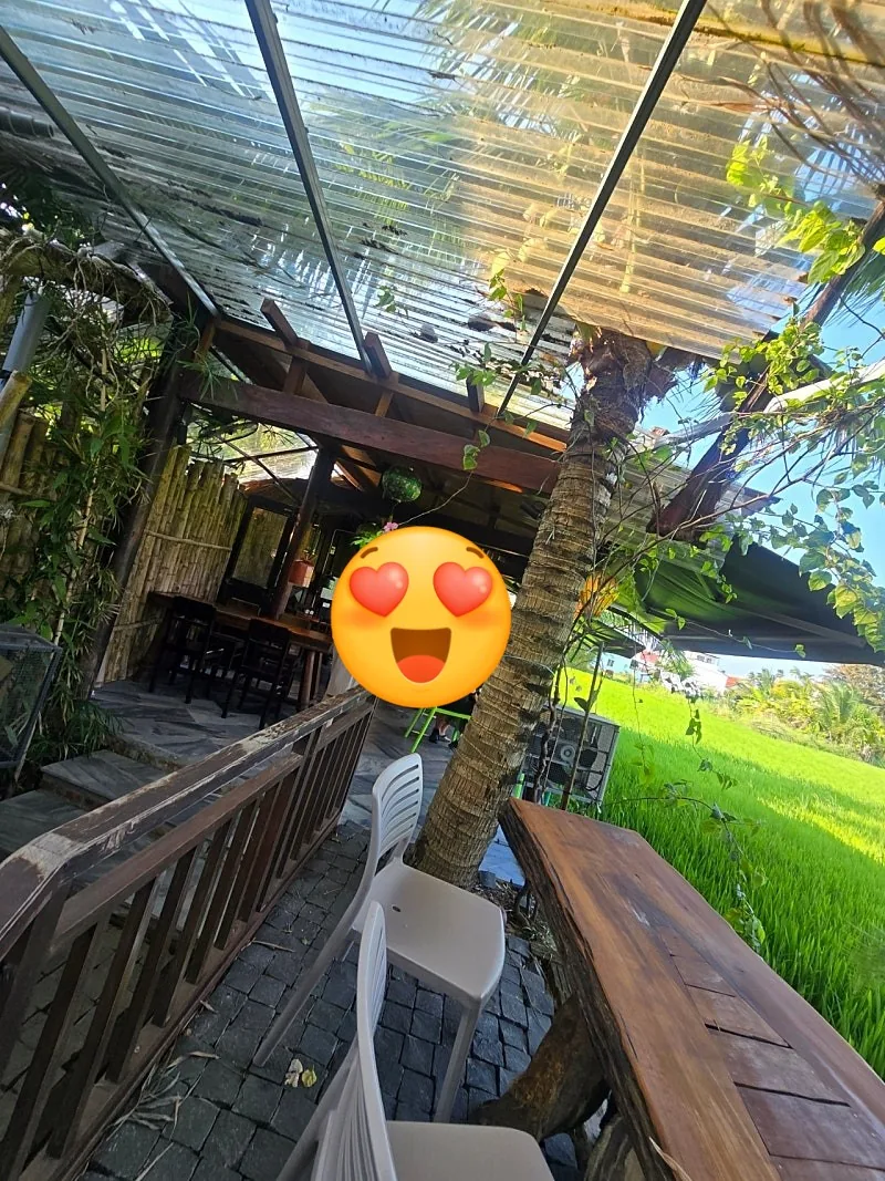 Đánh giá ngày 7🛫🇻🇳 Quán cà phê view ruộng lúa đẹp ở Hội An