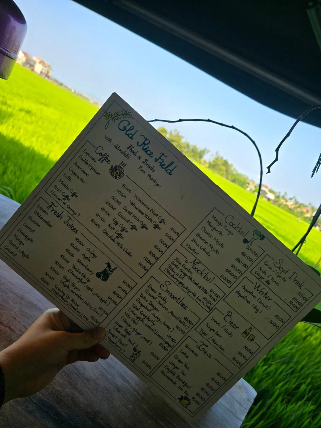 Đánh giá ngày 7🛫🇻🇳 Quán cà phê view ruộng lúa đẹp ở Hội An