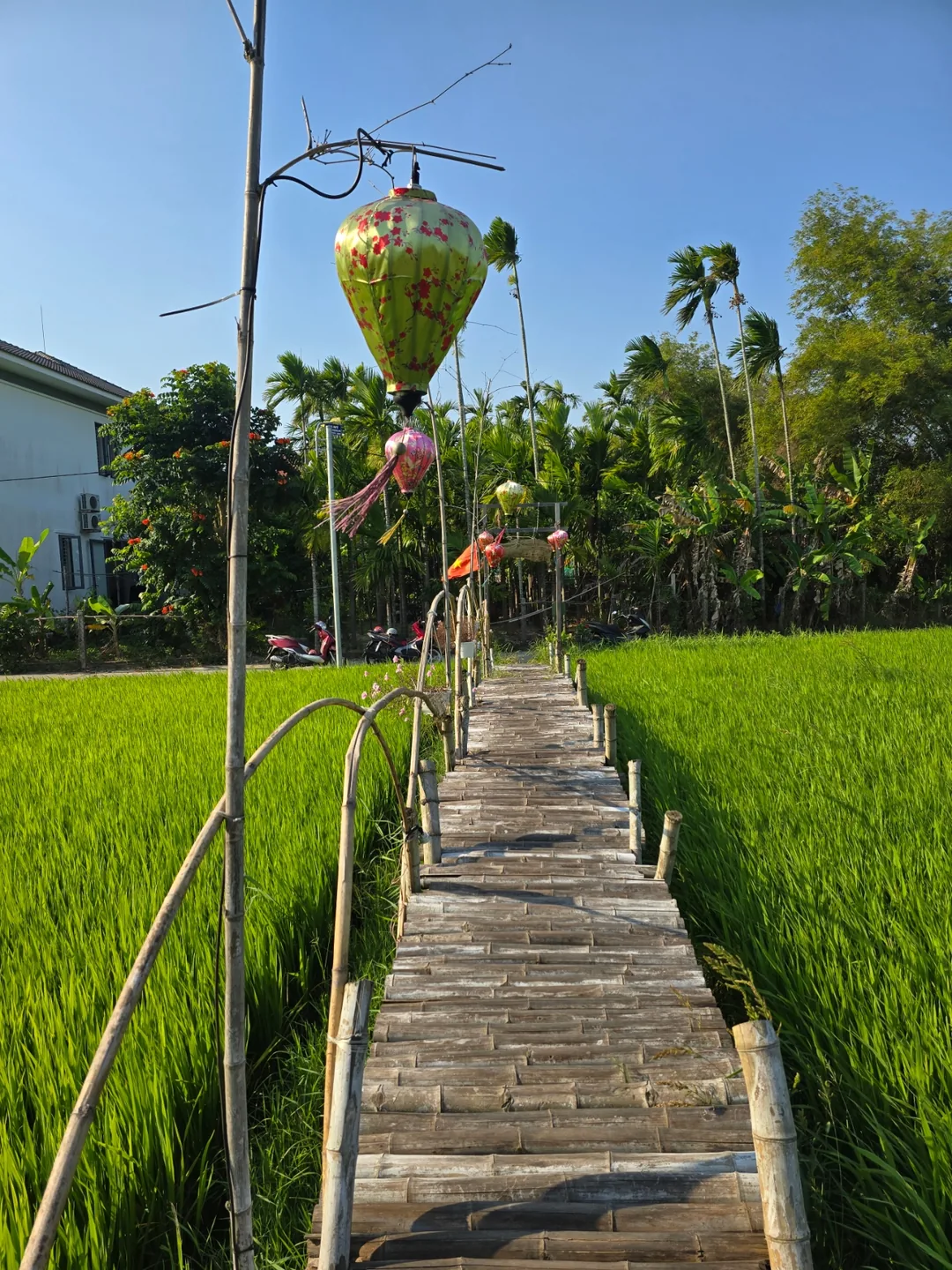 Đánh giá ngày 7🛫🇻🇳 Quán cà phê view ruộng lúa đẹp ở Hội An