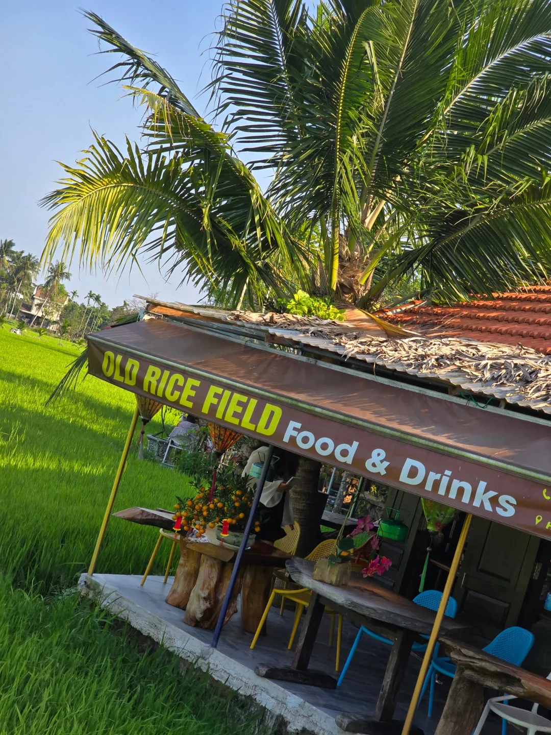 Đánh giá ngày 7🛫🇻🇳 Quán cà phê view ruộng lúa đẹp ở Hội An