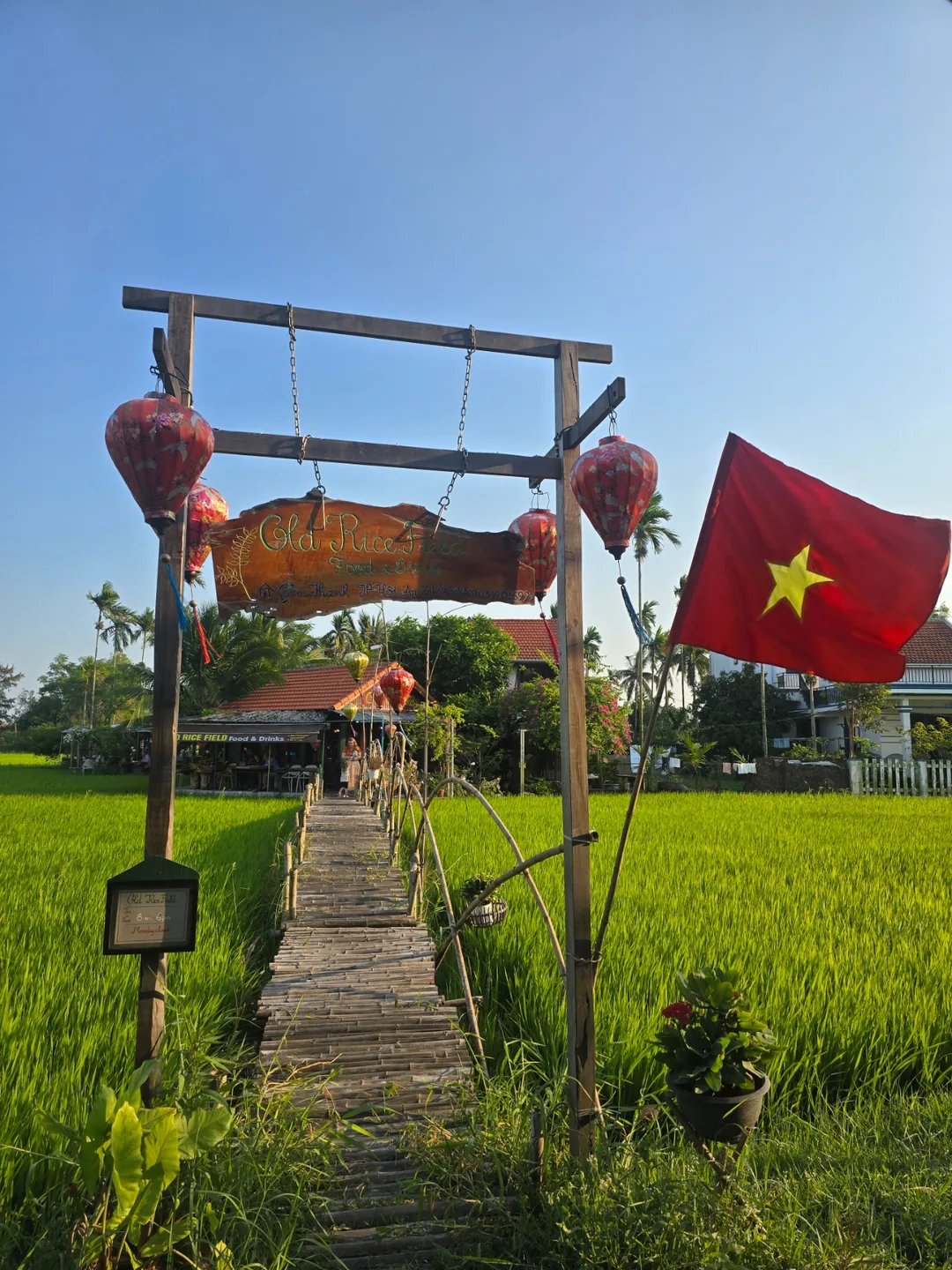 Đánh giá ngày 7🛫🇻🇳 Quán cà phê view ruộng lúa đẹp ở Hội An