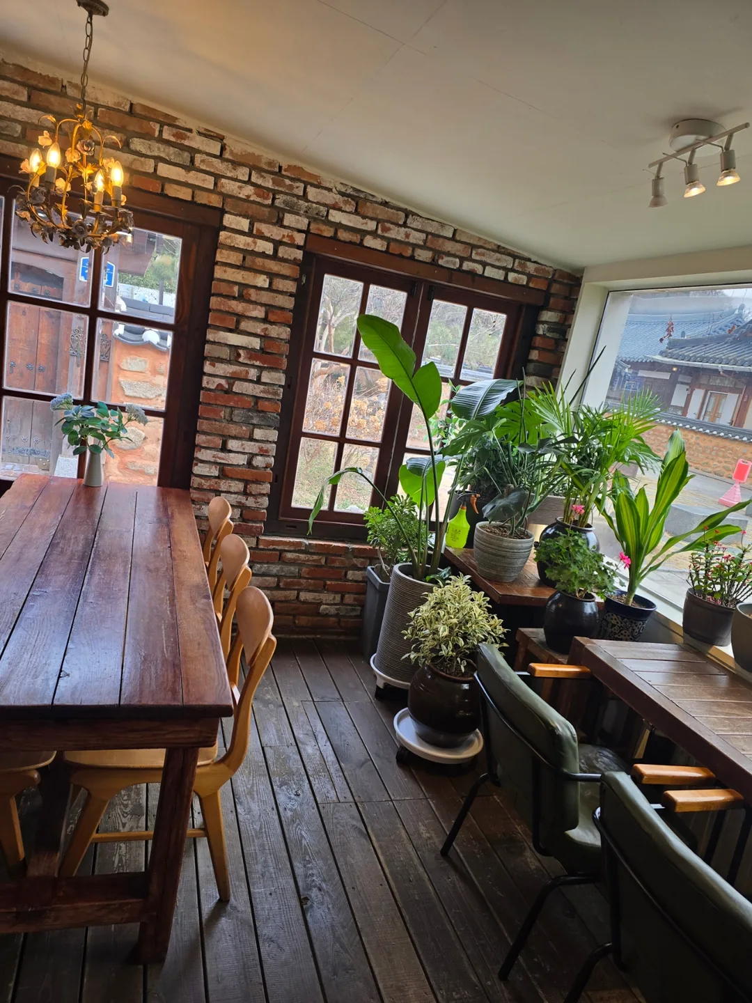 Quán trà ssanghwacha ngon ở làng cổ Hanok Jeonju!
