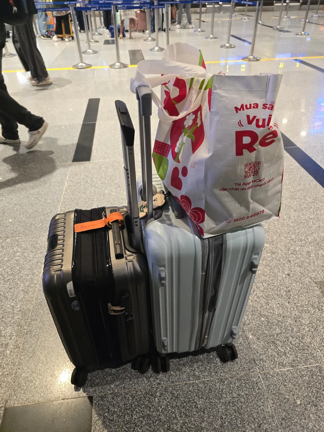 [Vali] 🧳 Cho vali cũ này, đưa vali mới cho tôi đi!! 🧳
