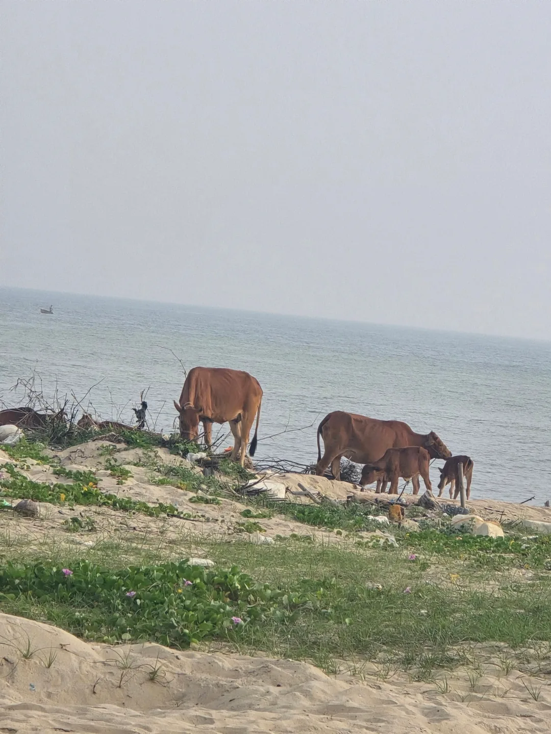 Tận hưởng bãi biển riêng tại Shilla Monogram Đà Nẵng 🏖️