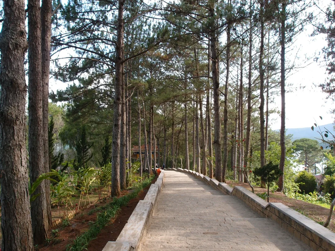 竹林禪寺(Trúc Lâm Temple)寧靜的佛寺,坐落於群山環繞的自然美景中。