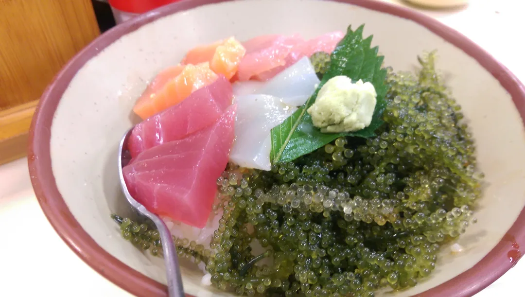 沖繩7天6夜自由行|自駕行程規劃 × 浮潛體驗 × 必訪景點