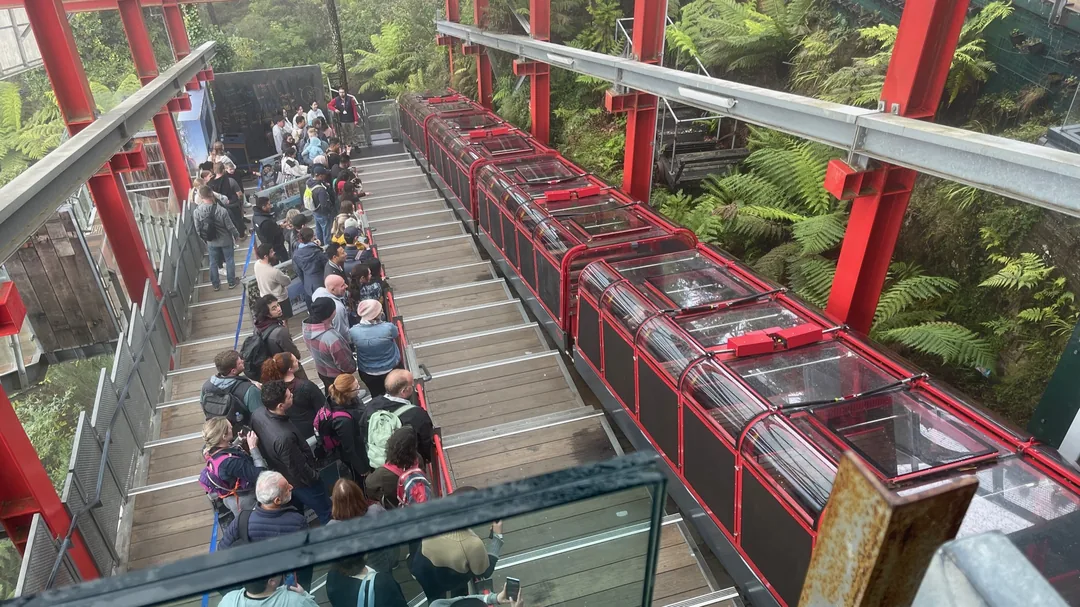 藍山一日遊遊記|Scenic World 鐵路、纜車 & 三