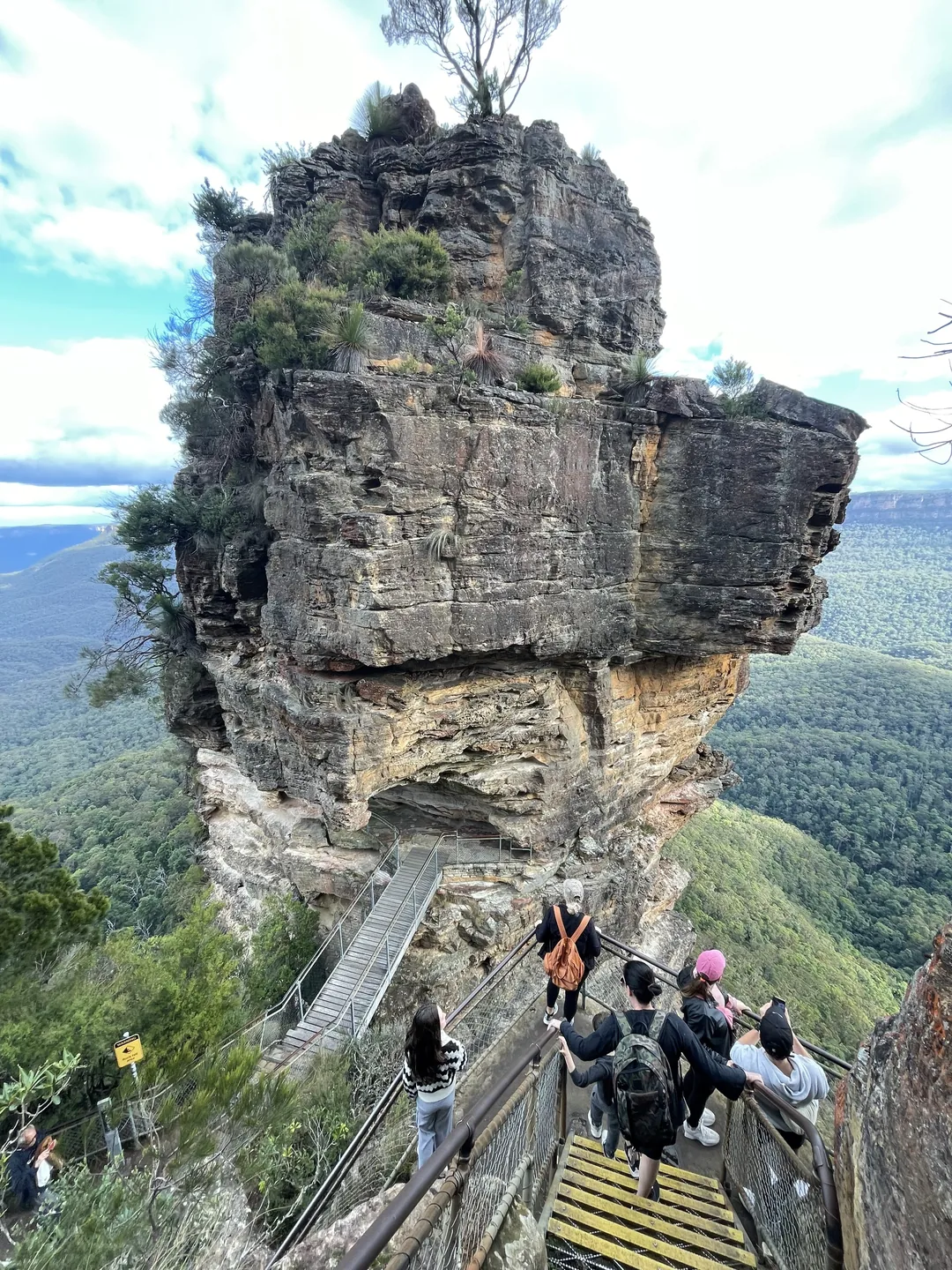 藍山一日遊遊記|Scenic World 鐵路、纜車 & 三