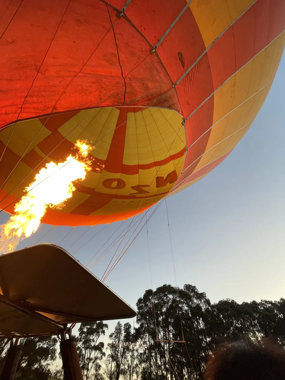 墨爾本自由行 Day2|Yarra Valley 熱氣球體驗
