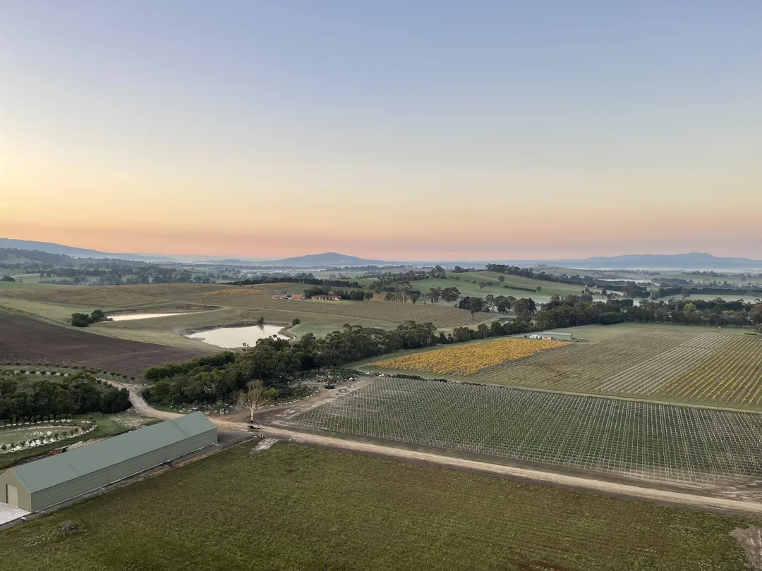 墨爾本自由行 Day2|Yarra Valley 熱氣球體驗
