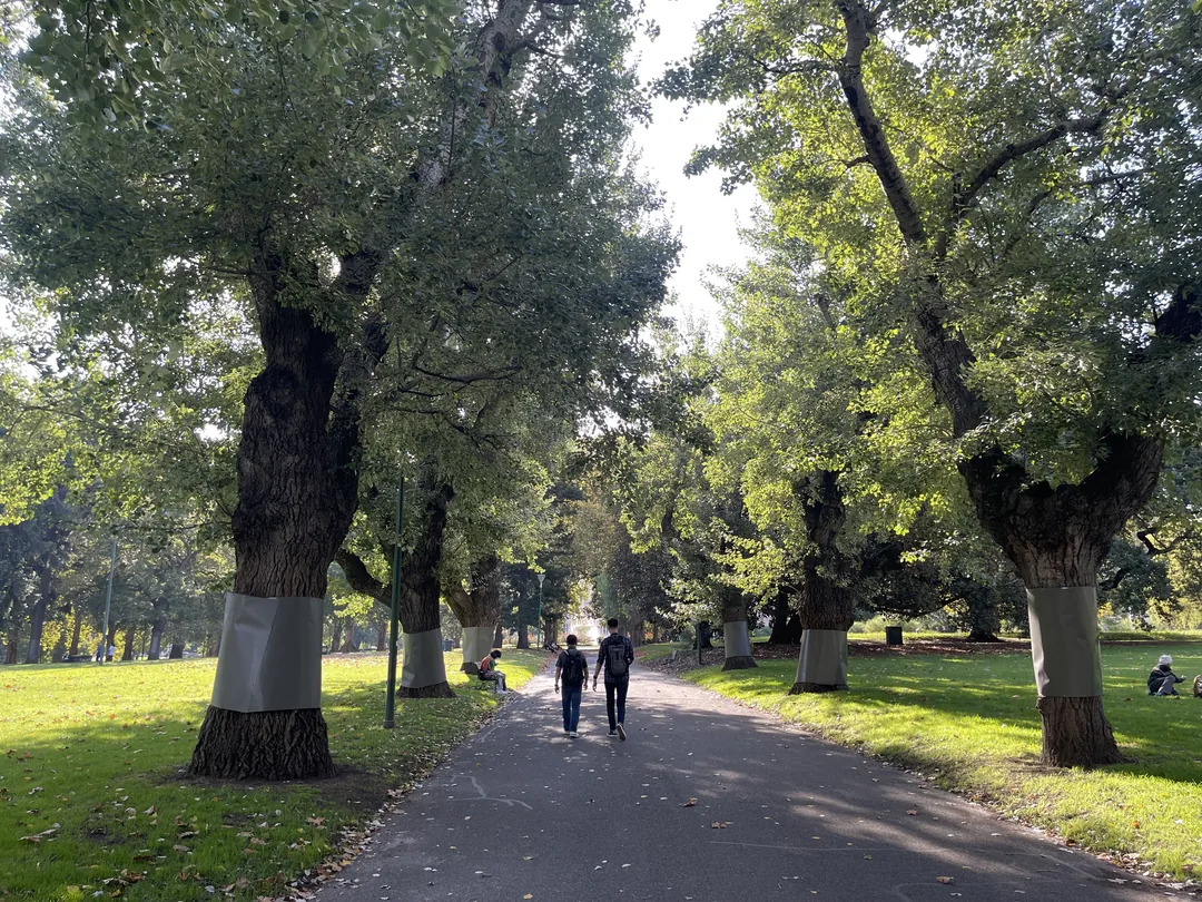 墨爾本自由行 Day2|Yarra Valley 熱氣球體驗