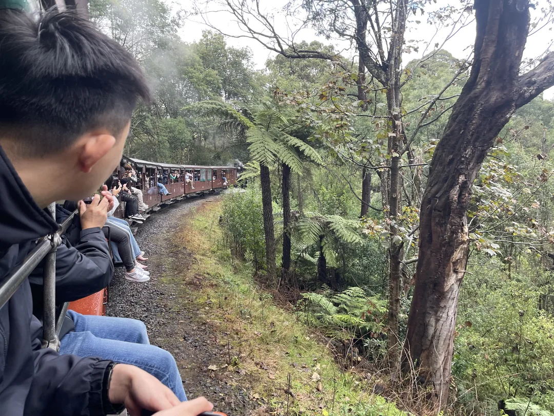 墨爾本自由行 Day3|普芬比利蒸汽火車+企鵝歸巢體驗:最難