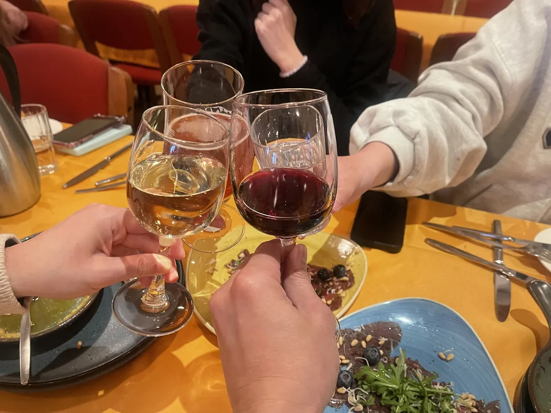 冰島六天五夜遊記:探索南部VIK的壯麗黑沙灘與瀑布之旅(上)