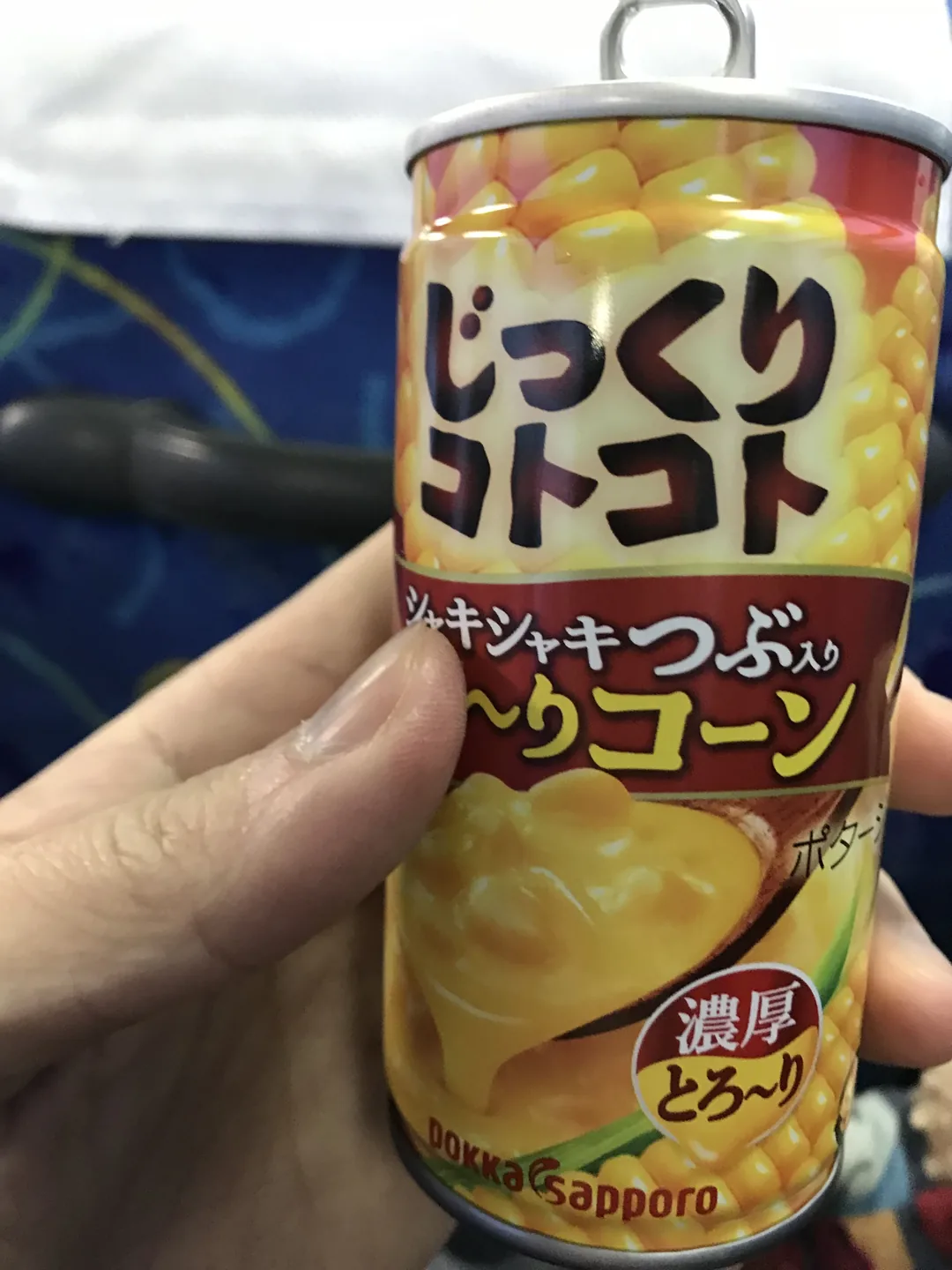 【北海道五天四夜跟團遊記】層雲峽冰瀑季 × 網走破冰船 ×