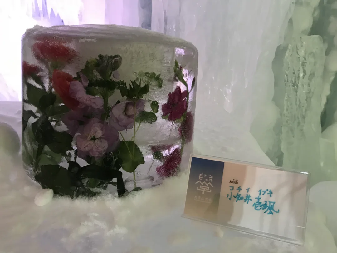 【北海道五天四夜跟團遊記】層雲峽冰瀑季 × 網走破冰船 ×