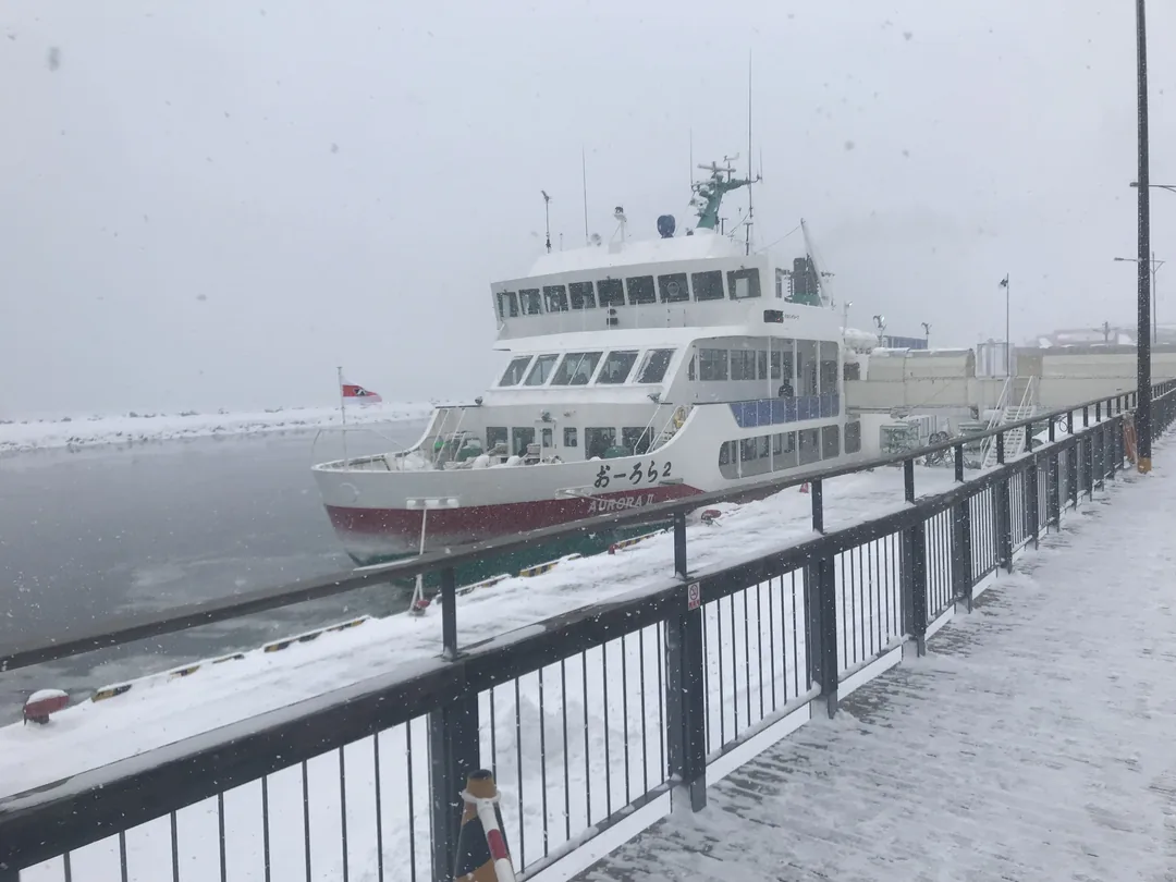 【北海道五天四夜跟團遊記】層雲峽冰瀑季 × 網走破冰船 ×