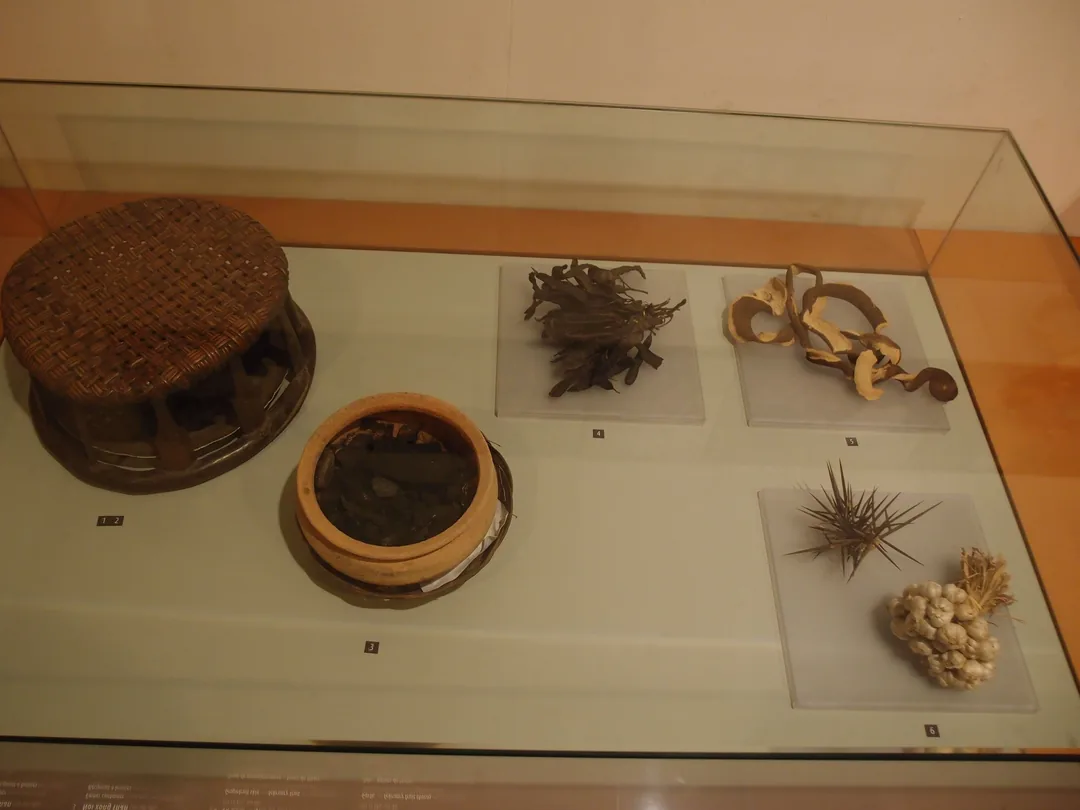 河內博物館#2：越南婦女博物館，了解越南女性歷史、文化與戰爭