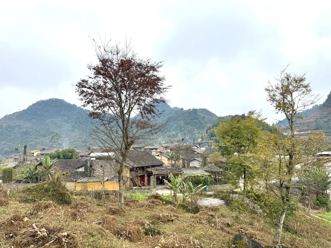 Lô Lô Chải 村是越南最北端的村落,擁有獨特少數民族文化與傳統木屋建築。
