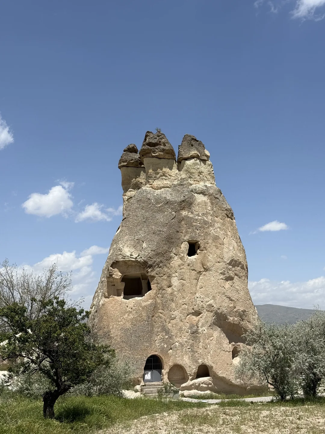 相片 2025-5-18 12 14 54.jpg